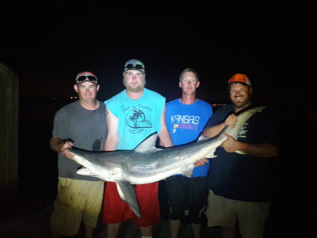 Night Shark Fishing in the Gulf of Mexico, FL