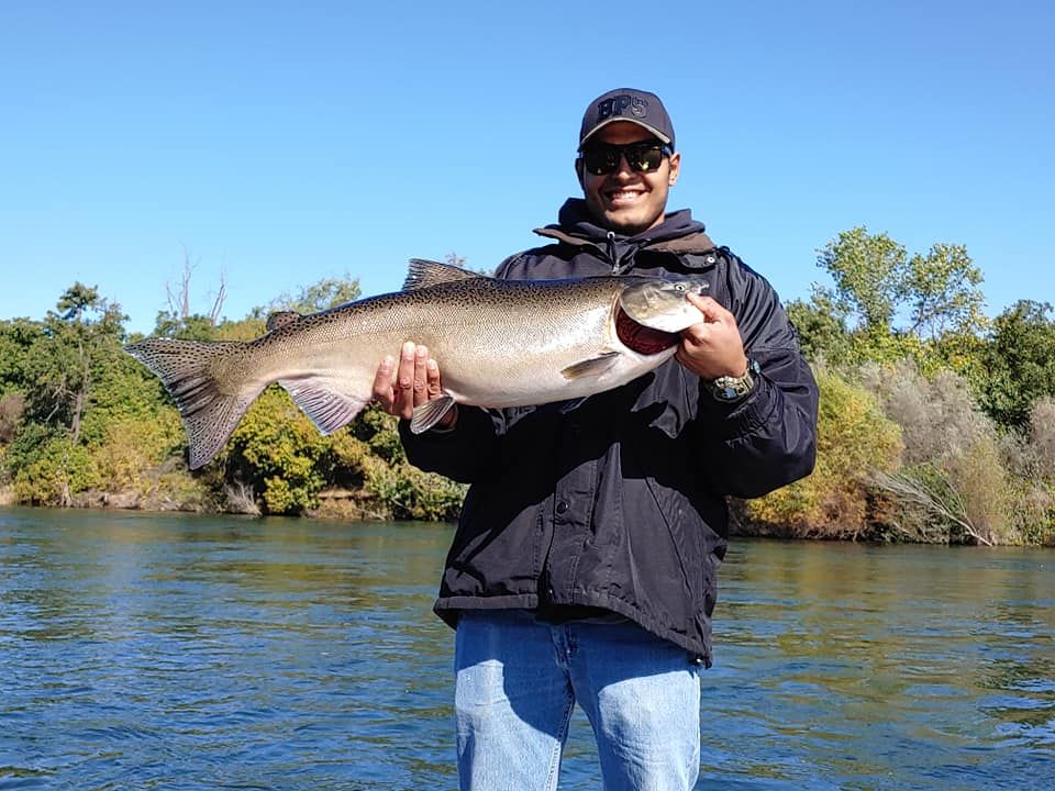 Feather River Salmon Fishing