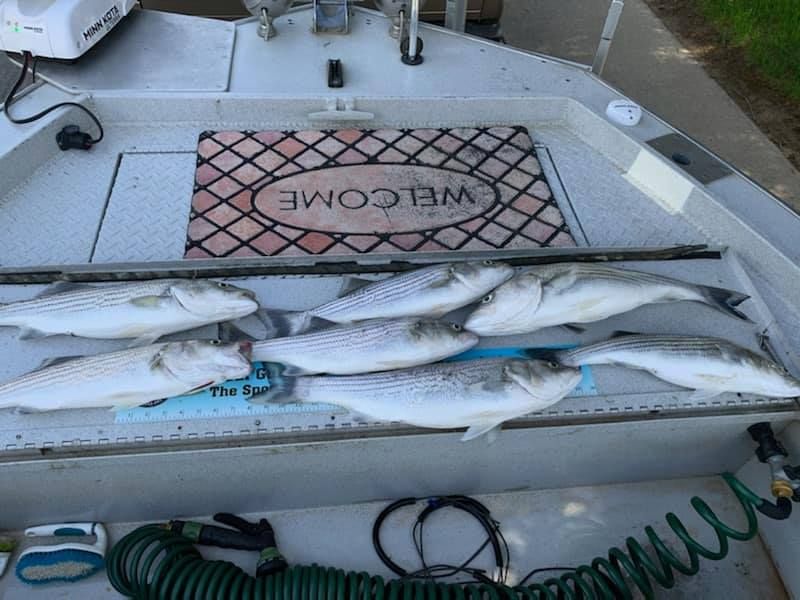 Sacramento River Fishing 2021