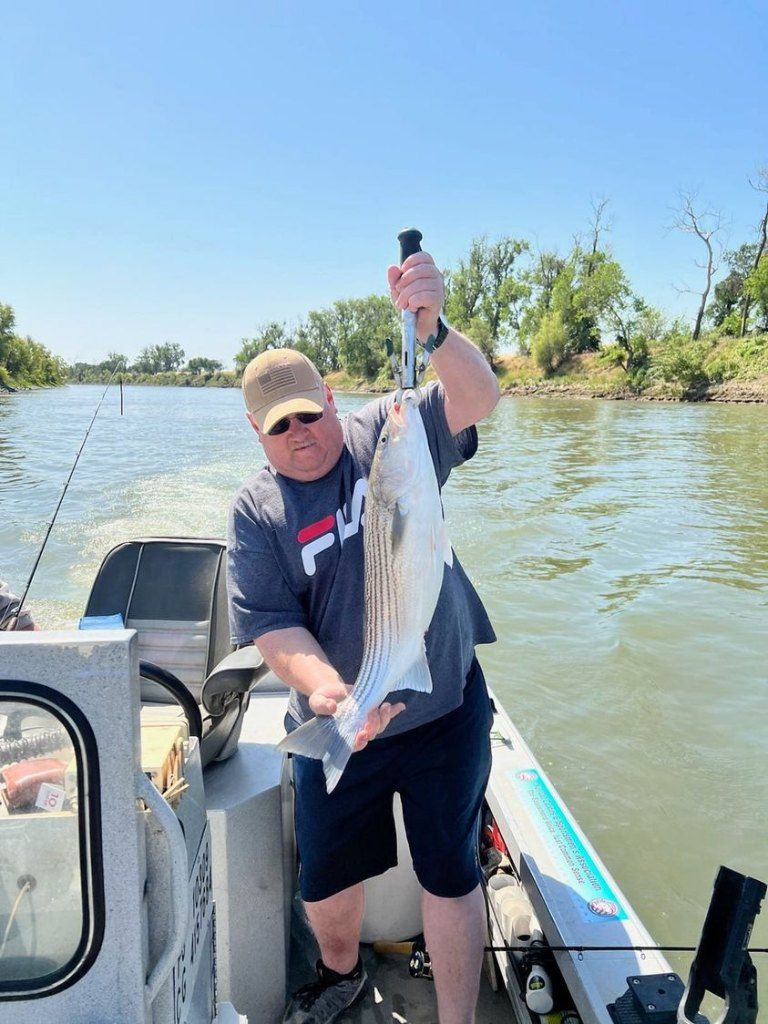 Stripers Sacramento River Fishing
