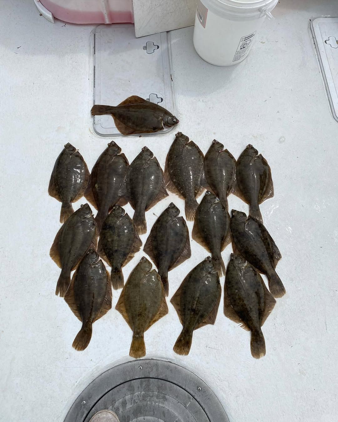 Top-Rated Cape Cod Bay Inshore Fishing Charters