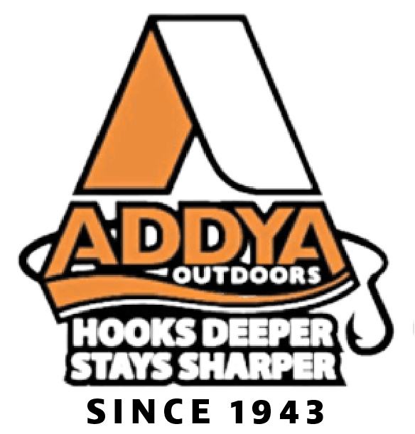 Sponsored By Addya