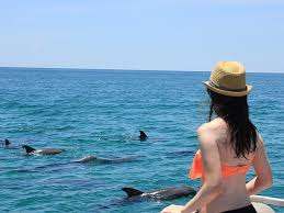 Charter Fishing Galveston Dolphin Tour Galveston | 3HRS Trip tours Scenic
