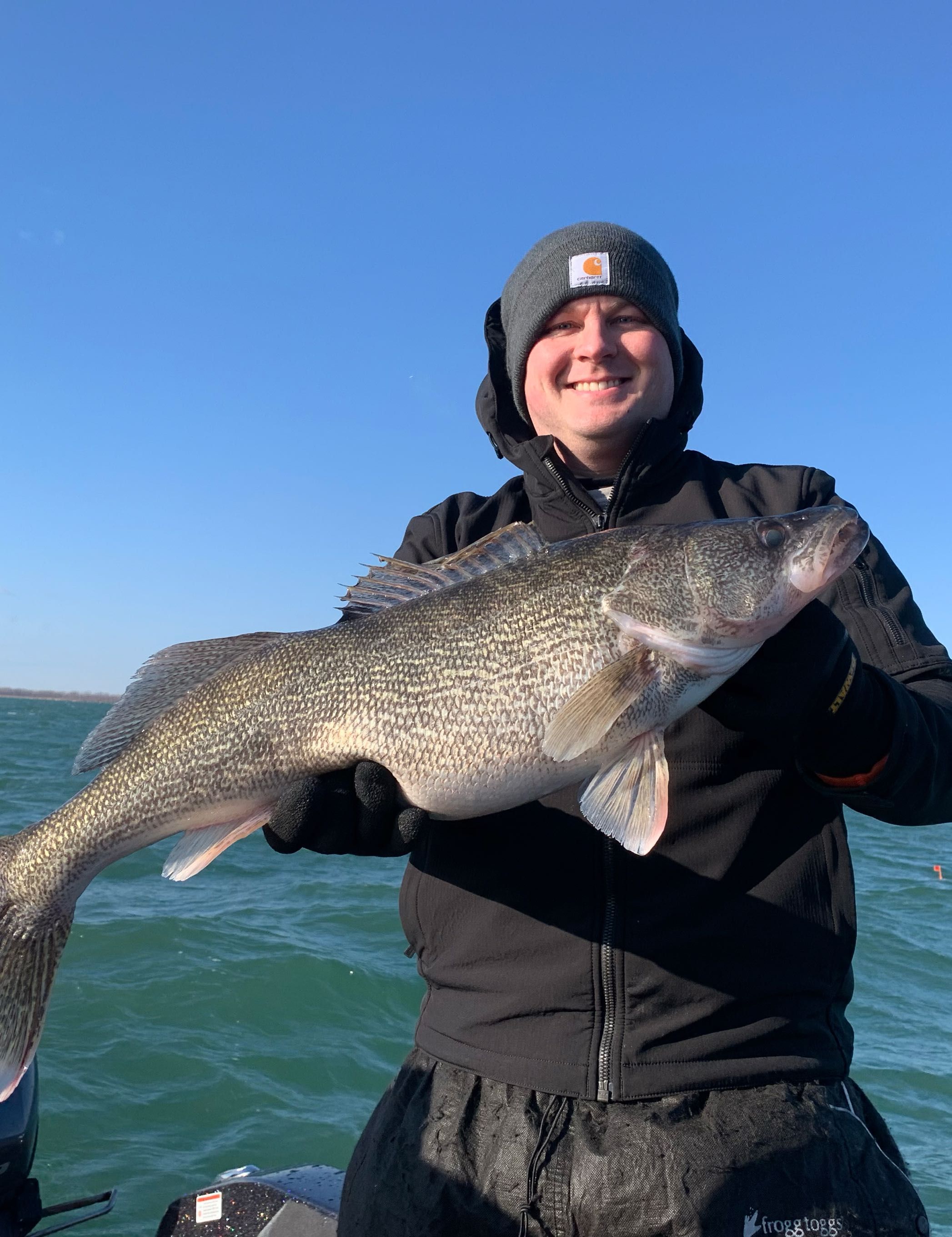 Walleye smack down!  fishing report coverpicture