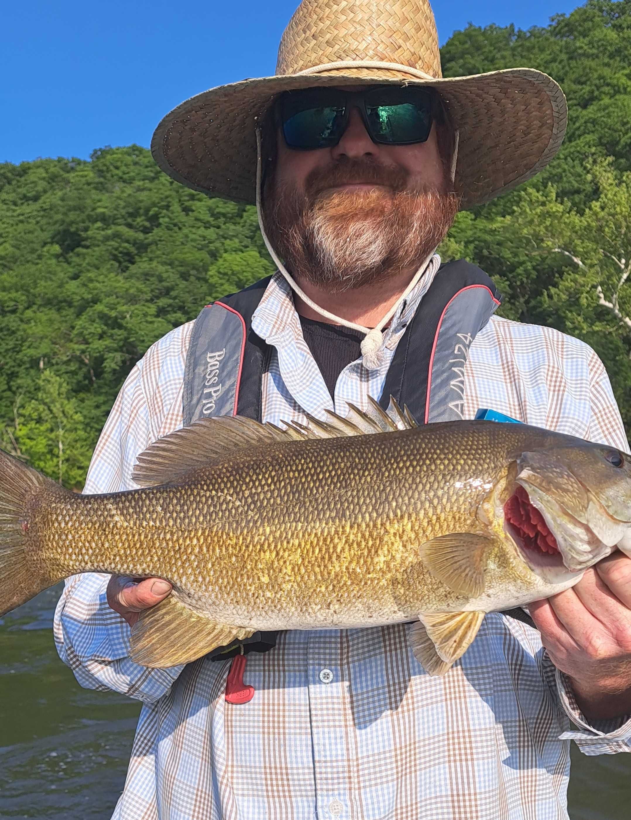 Fish-Species