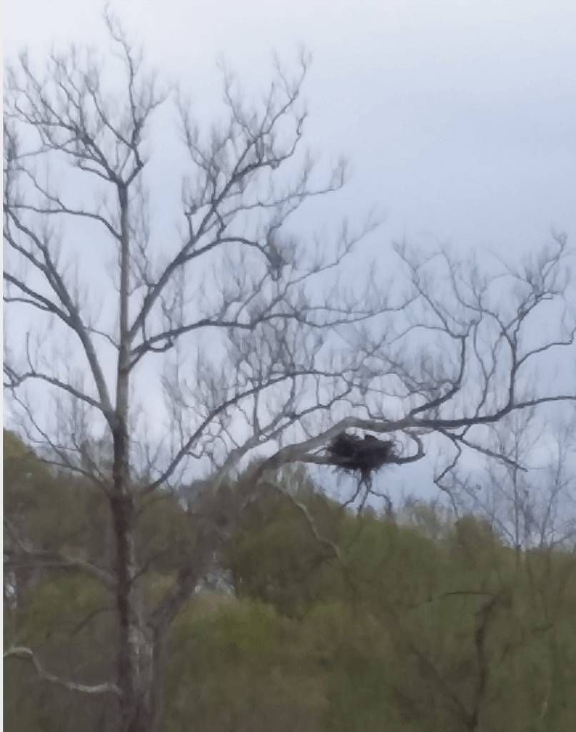 King Fisher Guide Services Shenandoah River Floating  fishing River