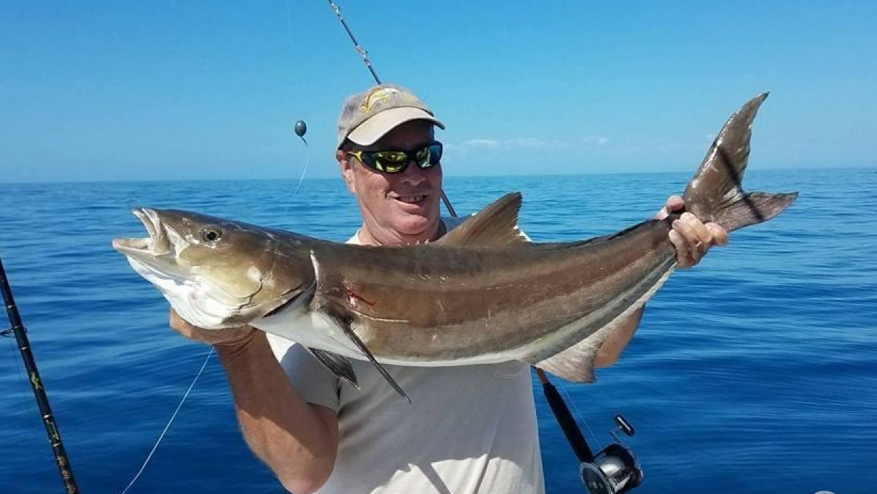 Reel Tactical Fishing Charters Fishing Charters In Bradenton Florida | 4 Hour Charter Trip  fishing Inshore