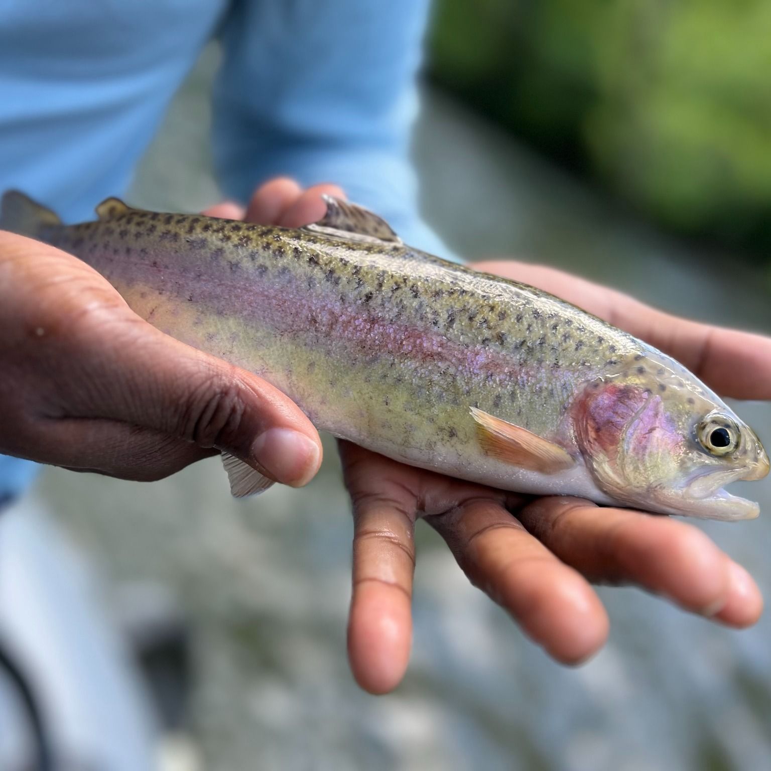 Lucky Strips Fly Co. Fishing Charters in Virginia | 7HRS Spin Fishing 1 Person fishing River
