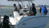 Rays Striper Fishing Guide Service