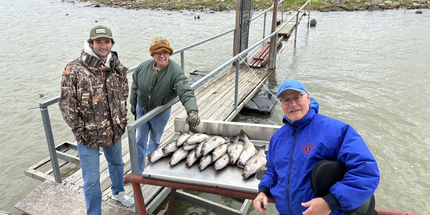 Rays Striper Fishing Guide Service Fishing Guide Lake Buchanan | 4 Hour Trip fishing Lake