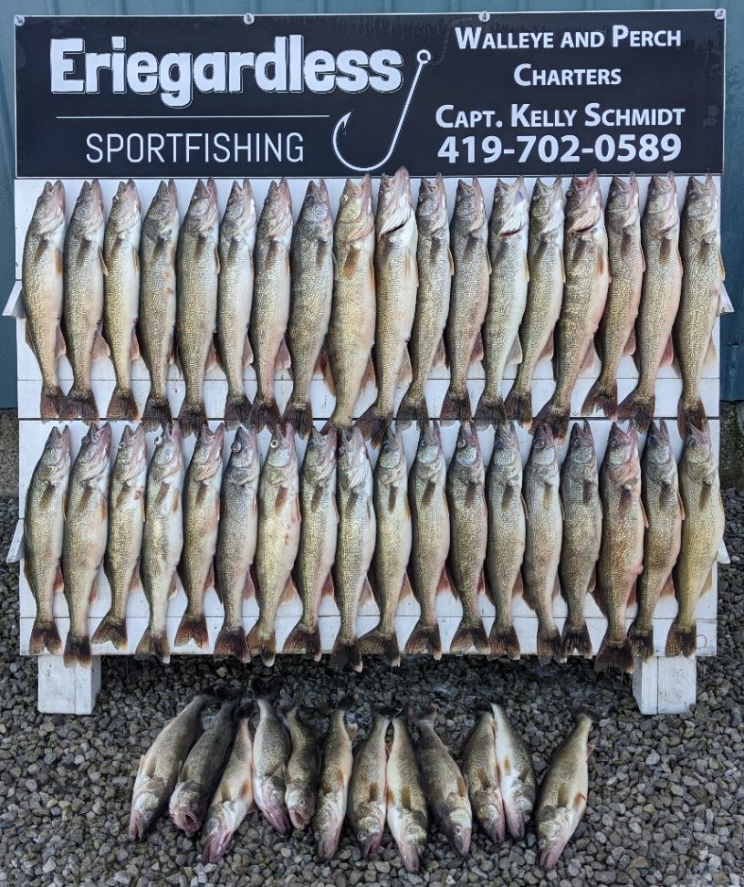 Eriegardless Sportfishing Charters Weekday Walleye Charter - Lake Erie fishing Lake