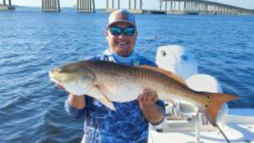 PierBred Charters