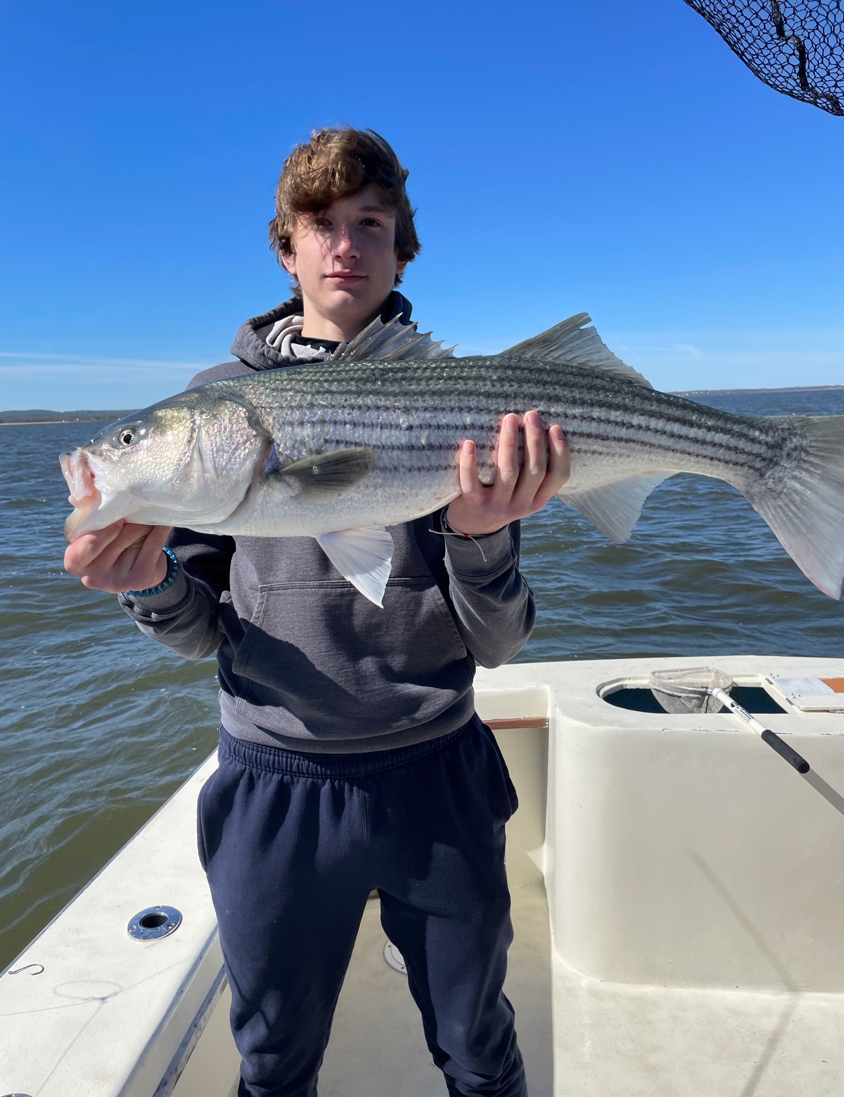 Live Bunker Striped Bass  fishing report coverpicture