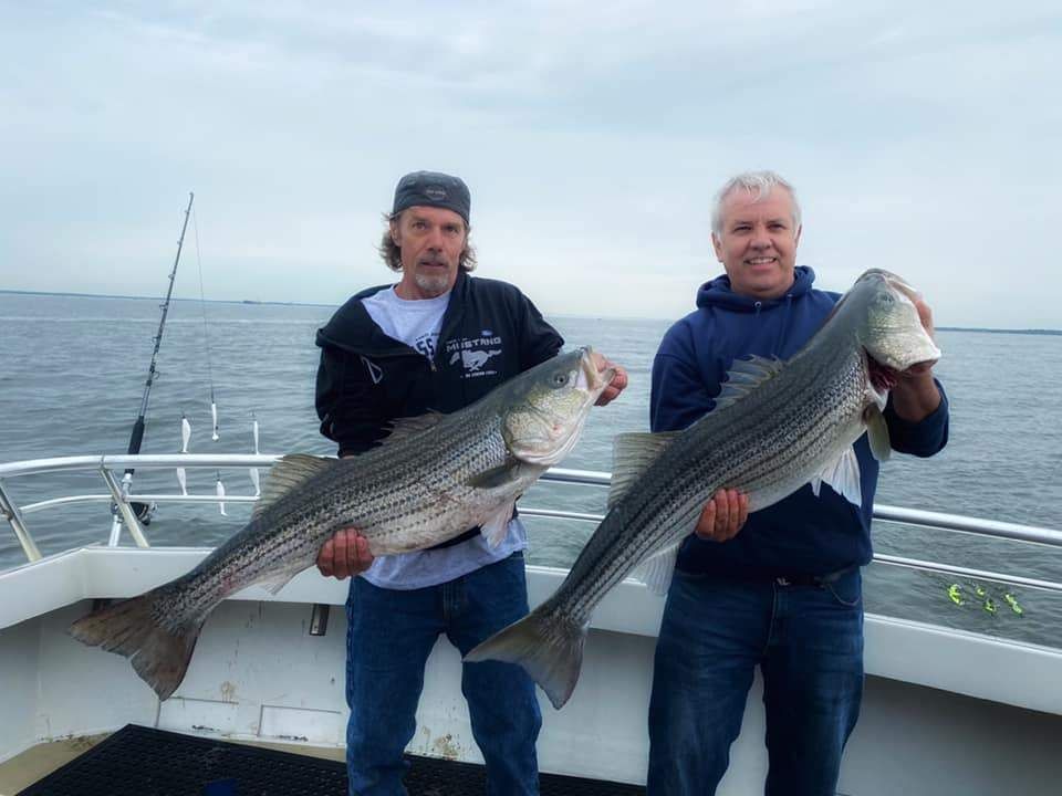 Lucky Strike Charter Deale MD Charter Fishing fishing Inshore