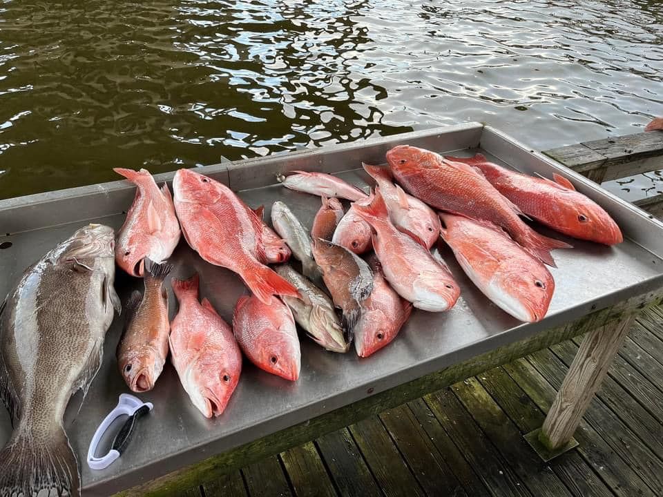Biloxi's Best 4-Hour Inshore Fishing Adventure