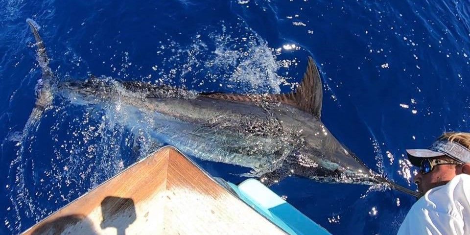 Elite Panama City Inshore Fishing with Flats And Fathoms