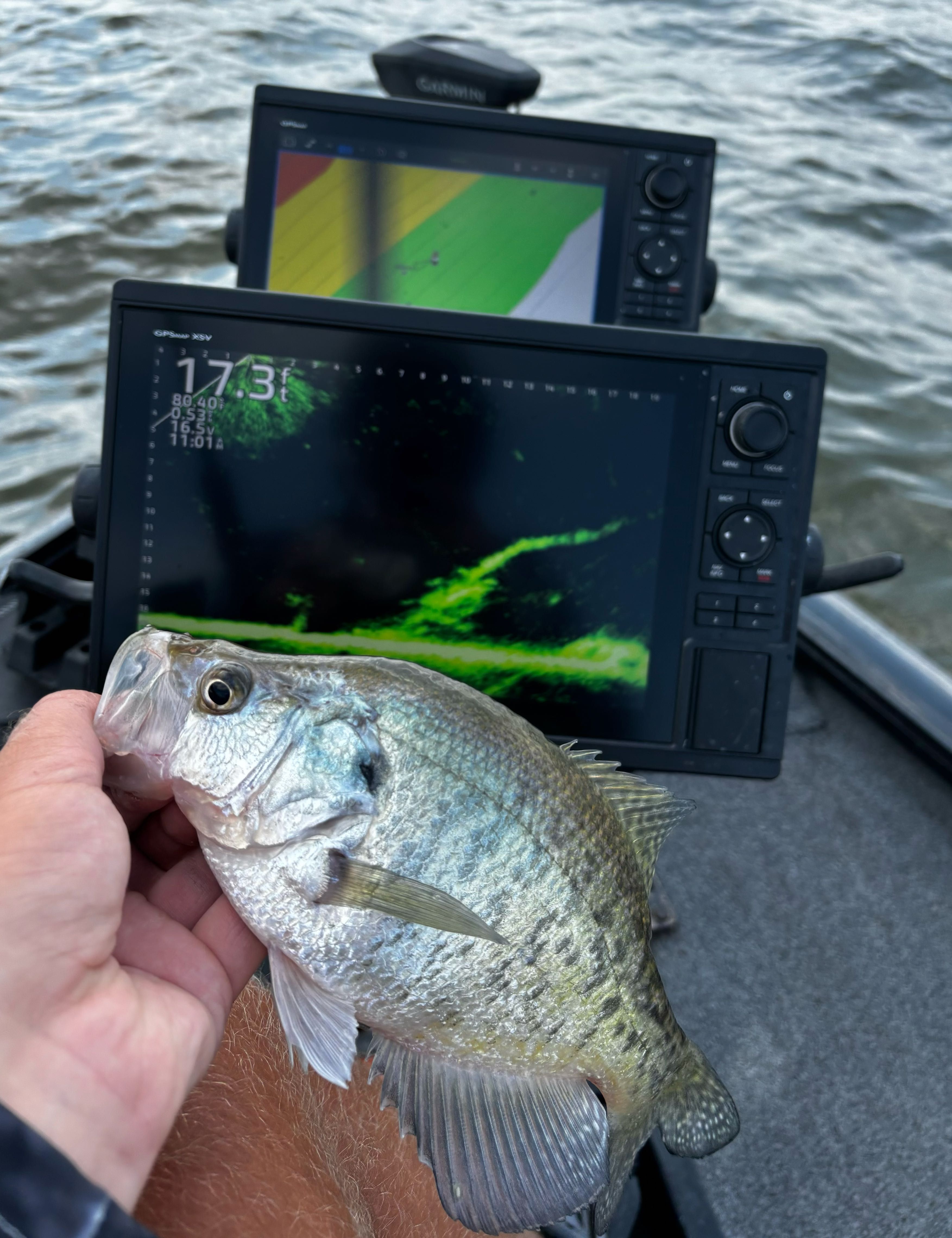 TJ Fishing Co & Guide Service LLC Livescope Training fishing Lake