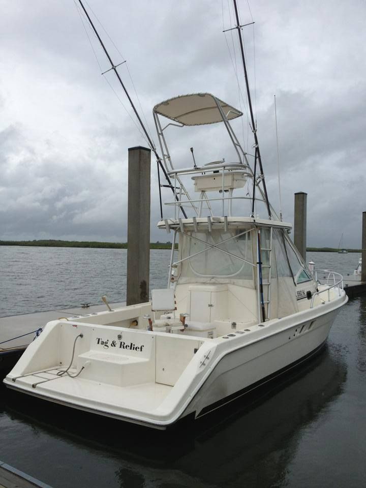 Scenic Eco Tour of New Smyrna Beach & Lagoon