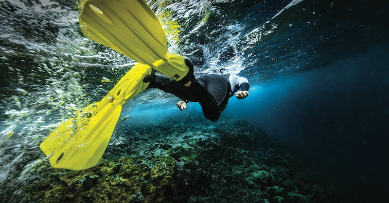 Top-Rated Grand Cayman Snorkeling | Connor's Charters