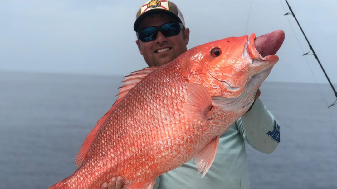 Limitless Fishing Charters By Captain Matt Graves