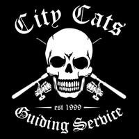 Citycats Guiding Service