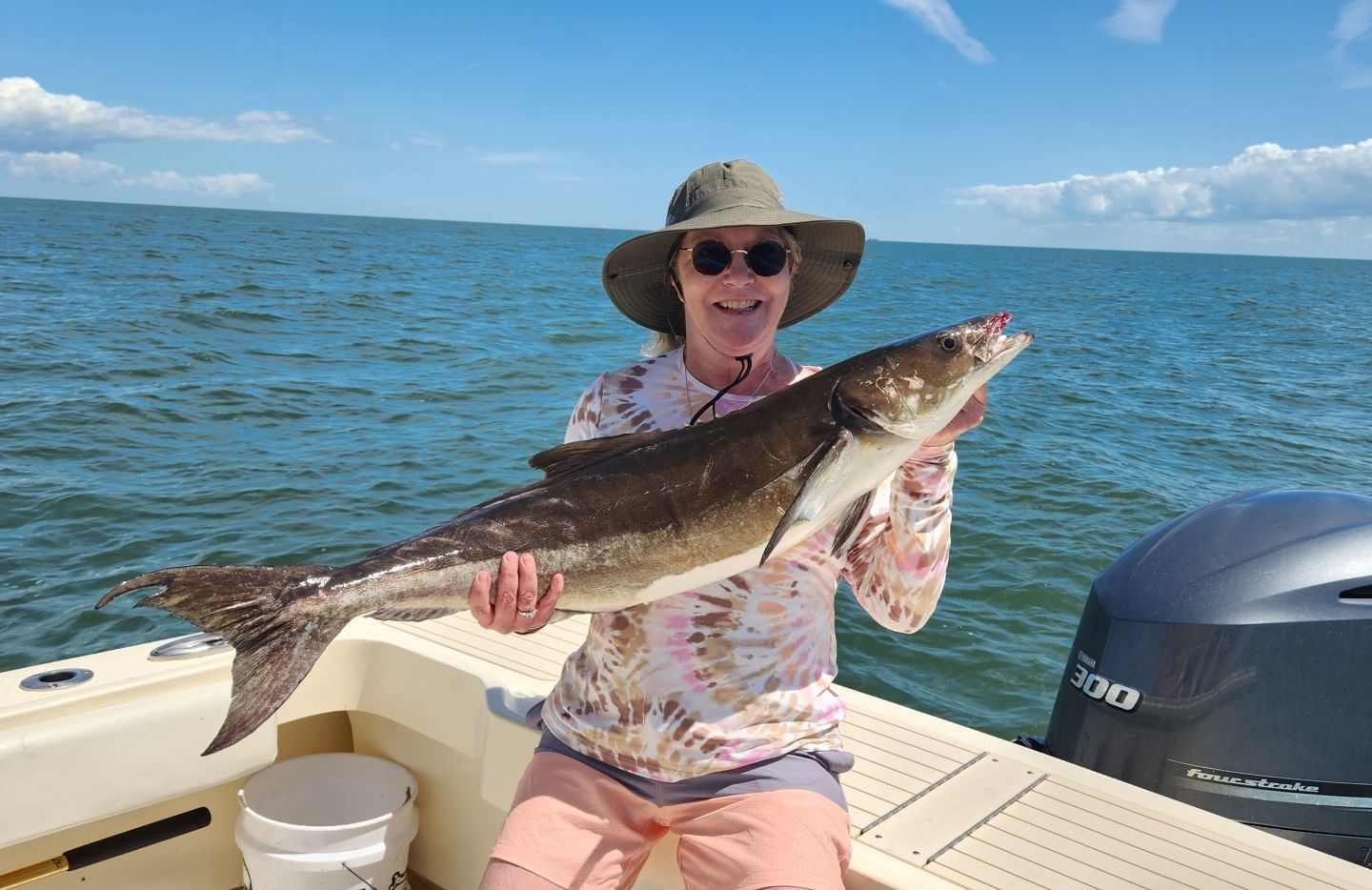 Cobia fish caught while fishing