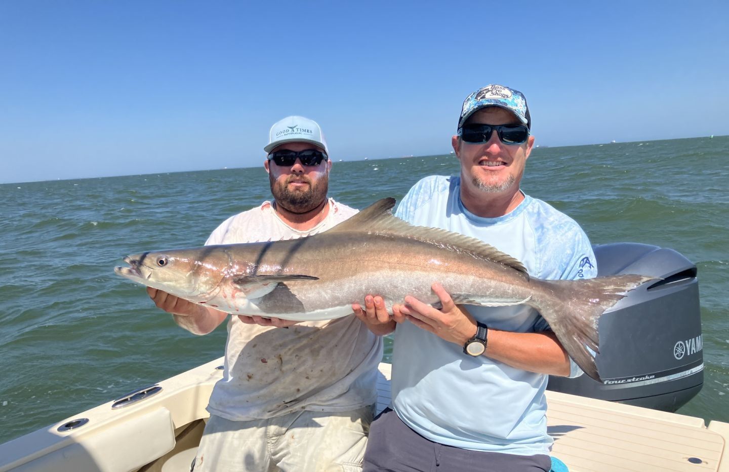 Cobia fishing catch at unknown location