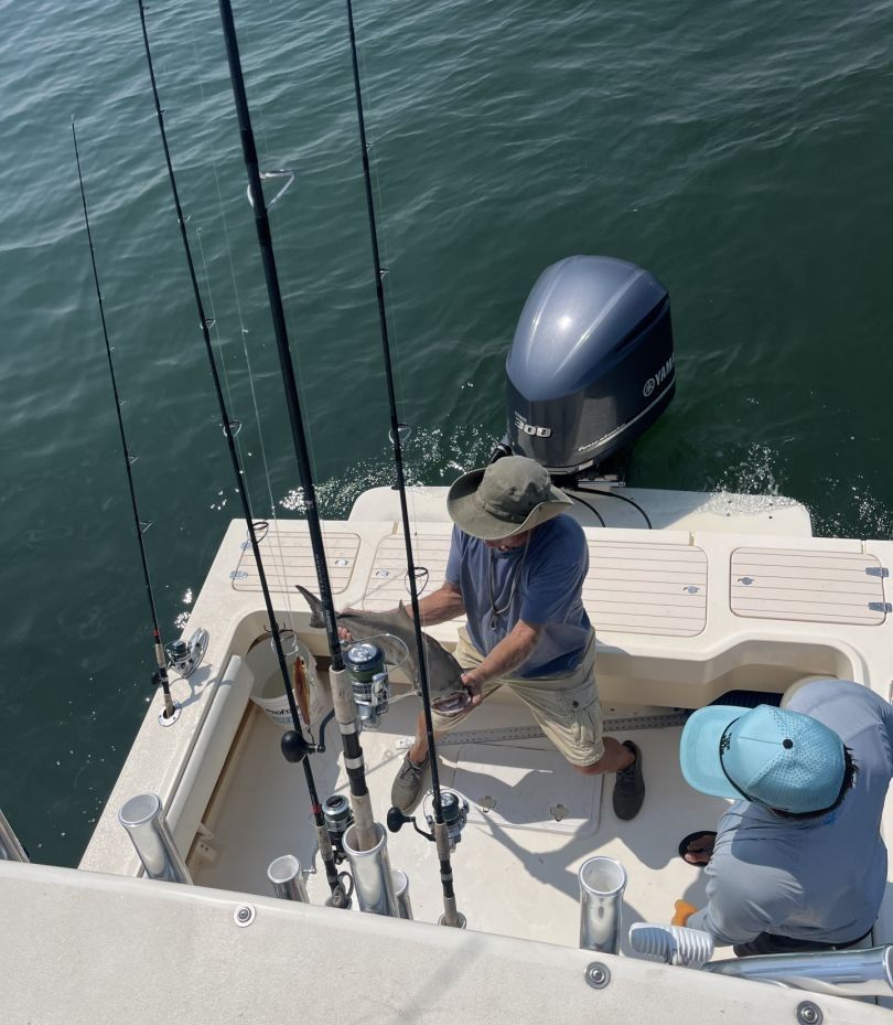 Fishing at a scenic location