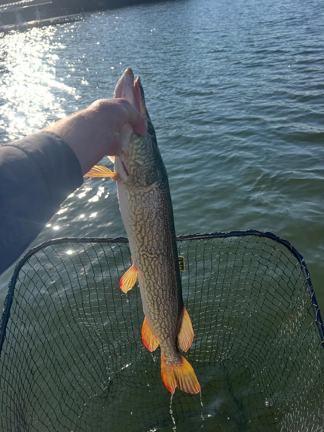 Fall Muskie Pike Float Trips Upriver Anglers WI