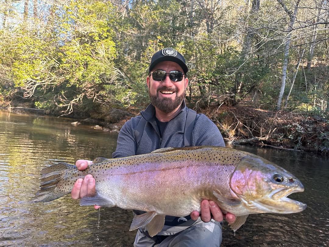 Renowned Half-Day Trout Fly Fishing in Cornelia