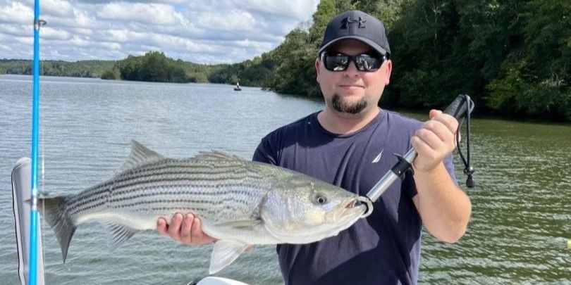 Kingfishers Guide Service Lake Hartwell Fishing Guides | Private 4 Hour Morning Lake Fishing Trips fishing Lake