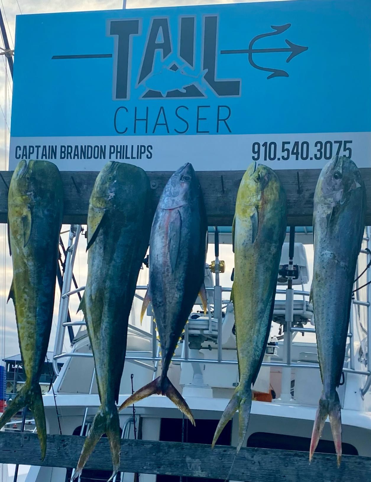 Tail Chaser Charter Fishing Gulf Stream Trips fishing Offshore