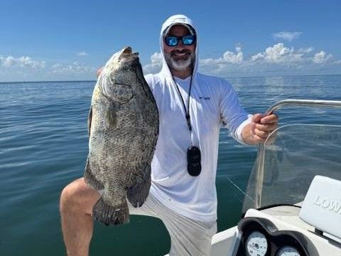 Full Day Port Arthur Fishing Hardhead Charters
