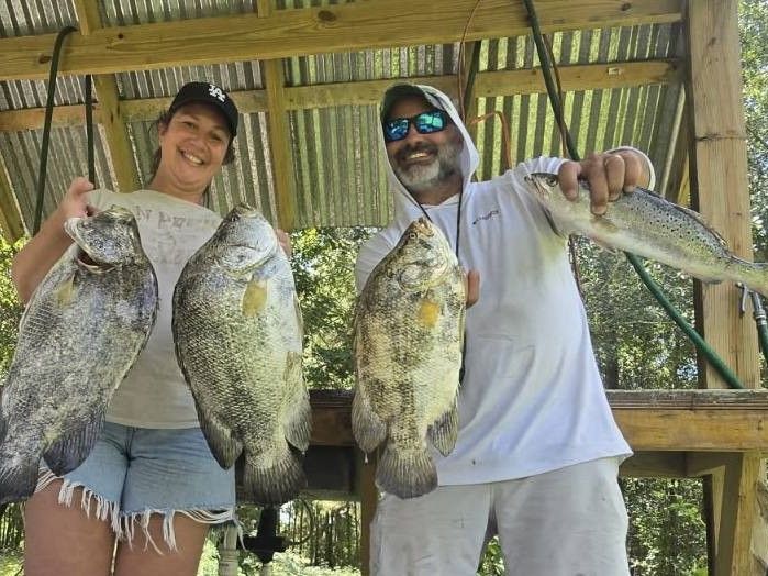 12 Hour Port Arthur Redfish Trips Hardhead