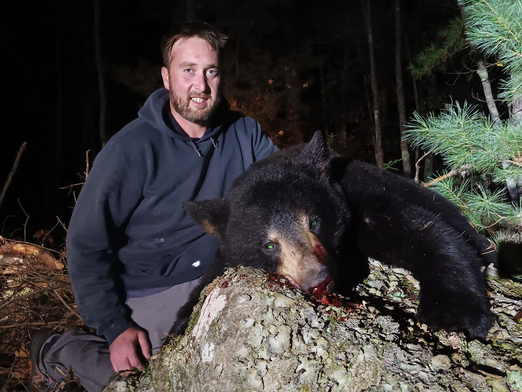 Maine Bear Hunting: Full Day Guided Bait Trip