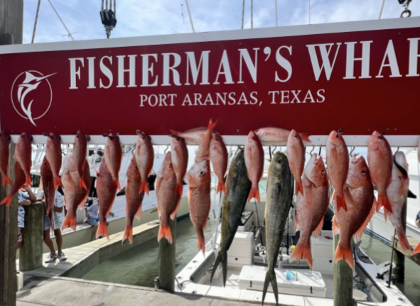 Gulf Magic fishing Port Aransas Fishing Charters fishing Offshore