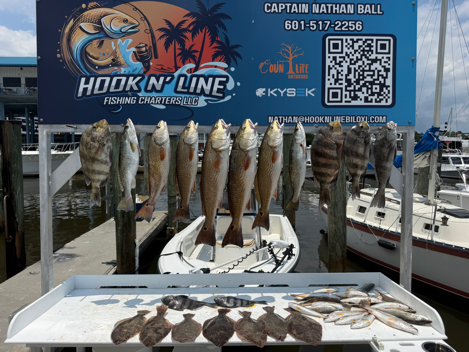 best fishing pole floats QualyQualy Catfish Bobbers, Weighted Catfish Floats/LED Fsihing Bobber, 3PCS High Visibility Wood Pole Fishing Float : Sports & Outdoors Coastal - Lovely old Hook Size:#3/0 - 1/8 oz - 3 per pack largemouth-bass