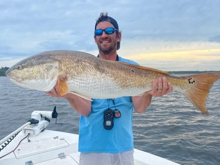 Advanced Night Redfish Fishing in Morehead City