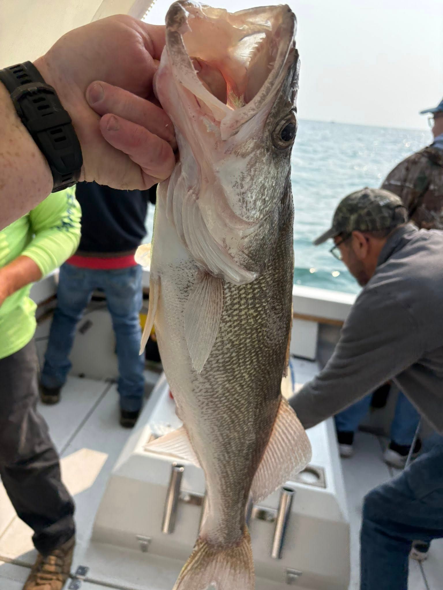 Executive Walleye Perch Fishing Port Clinton Lake