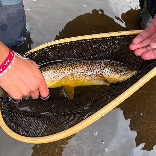 Beginner Fly Fishing North Platte River Laramie