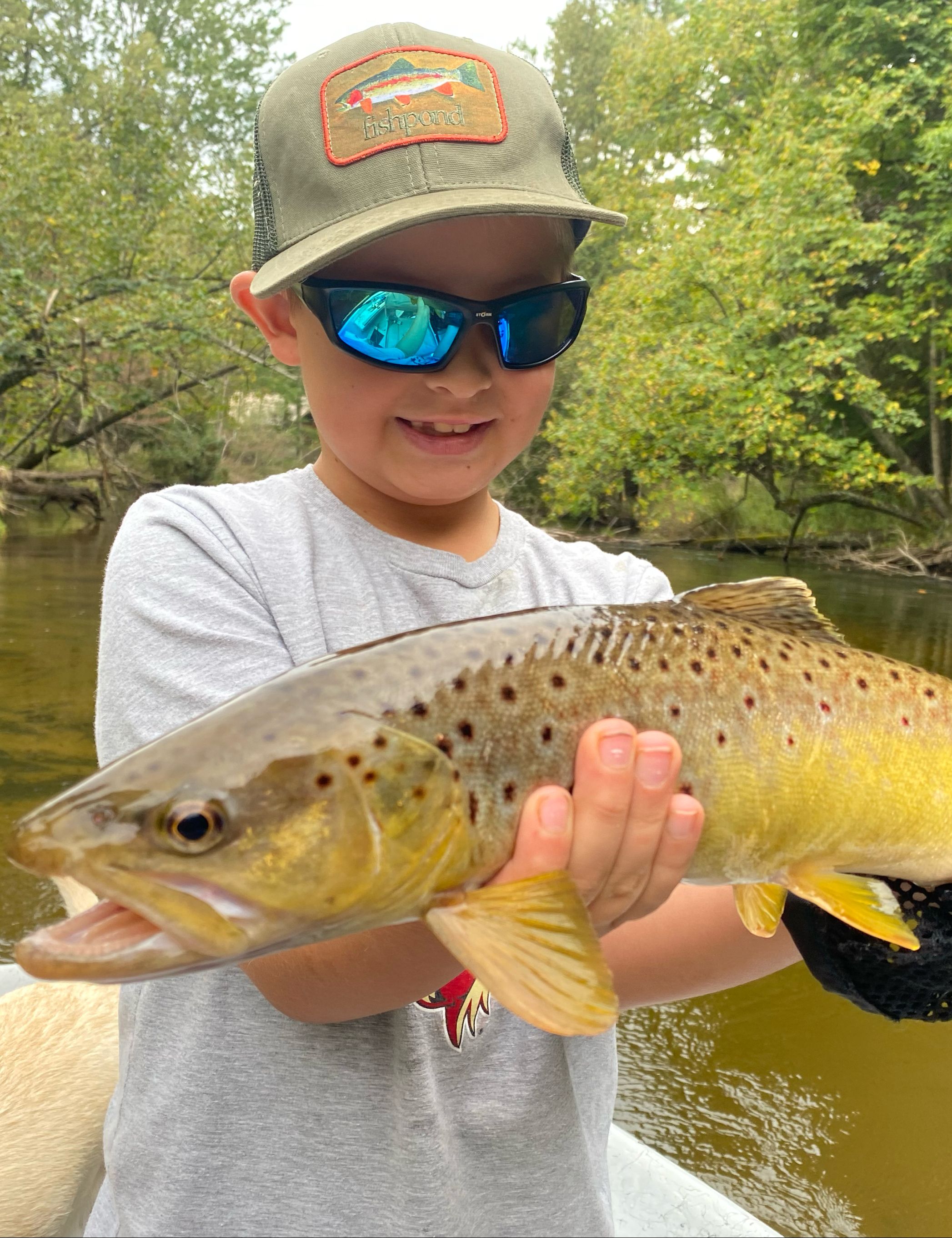 Large Trout in Pere Marquette River