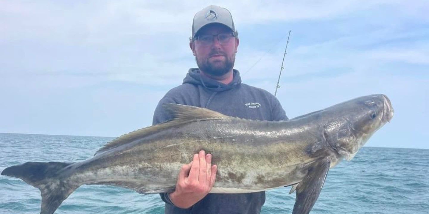 Swan Point Charters Fishing Charters Morehead City NC | Half Day Cobia Trip fishing Inshore