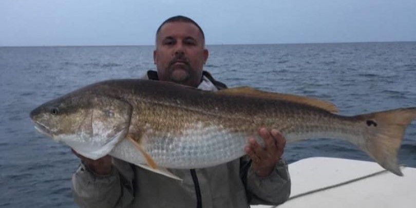 Swan Point Charters Morehead City Fishing | 6 Hour Trip – Trophy Red Drum fishing Inshore