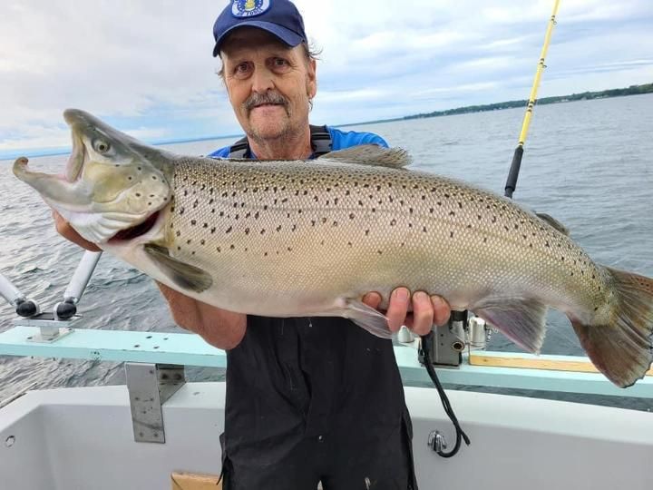 Lake Ontario Brown Trout Fishing | SCW Charters