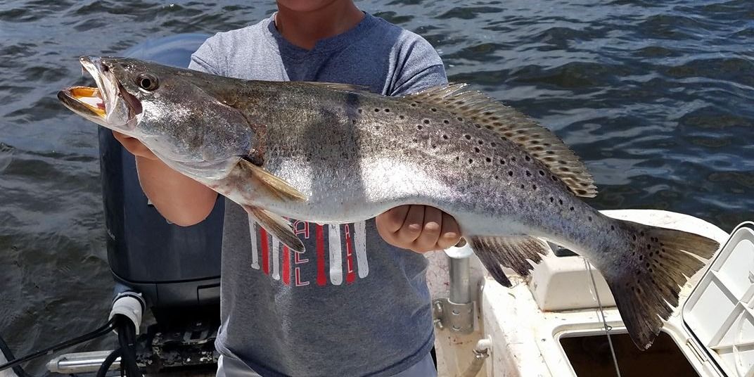 Best Fort Morgan Inshore Fishing | Alabama Girl