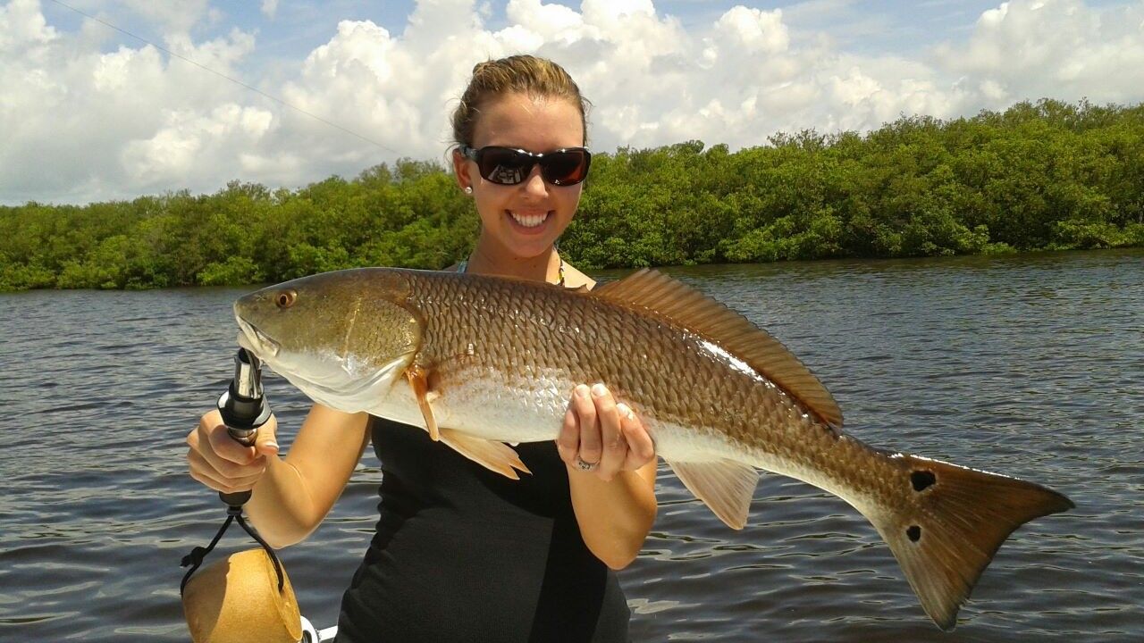 Expert-Guided 6-Hour Inshore Fishing in Homosassa