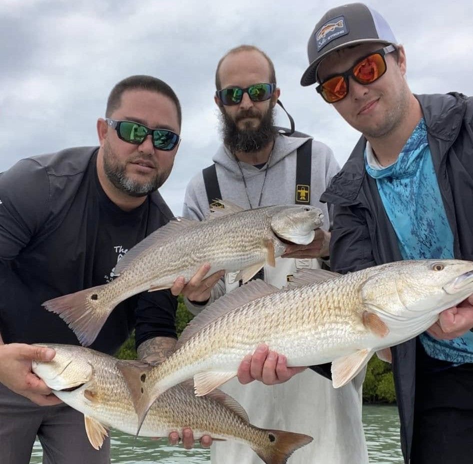 Expert-Led Inshore Fishing | St. Pete Half-Day