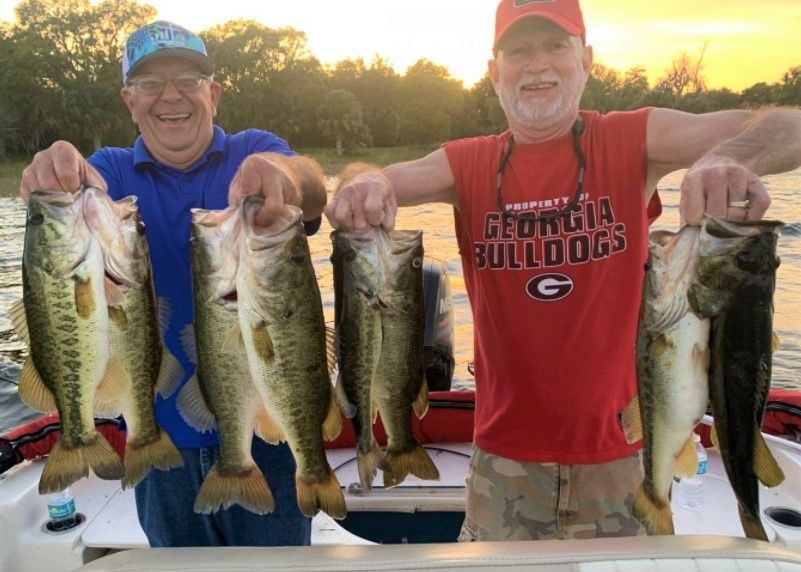 Full Day's Catch of Largemouth Basses in FL