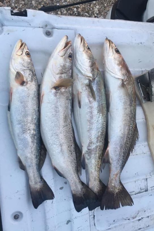 Hooked Some Trout in Crystal Beach, TX