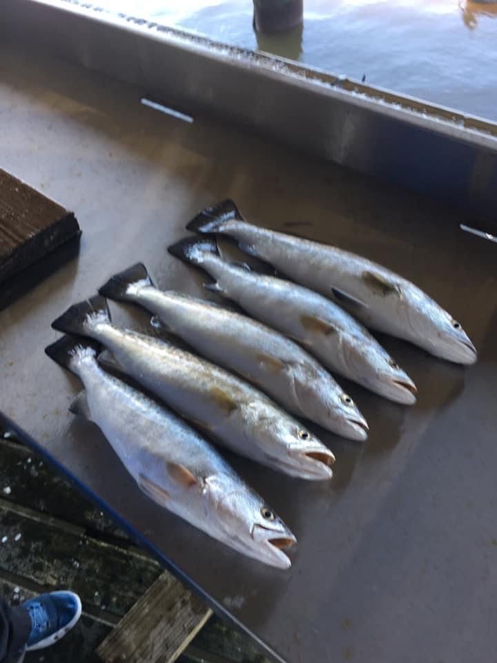 Trout Fishing from Crystal Beach